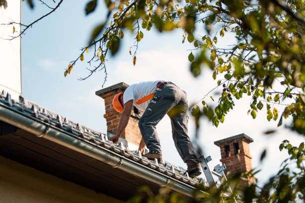 Residential Roof Replacement in Alorton, IL
