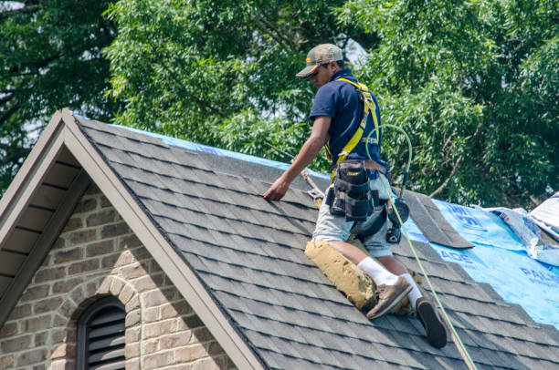 Best Local Roofing Companies  in Alorton, IL